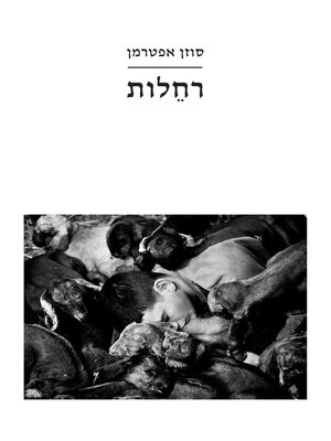 cover image of רחלות